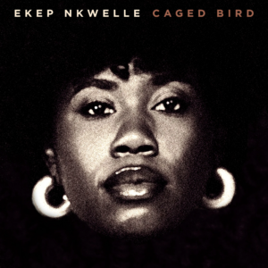 Ekep Nkwelle